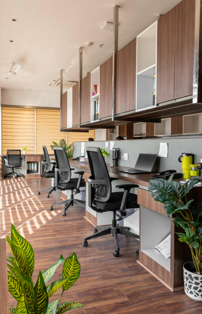 Absolute Clean imagem cleaning service